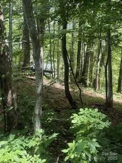 22 Signature Row Boulevard, Waynesville, NC 28785 - Image #2