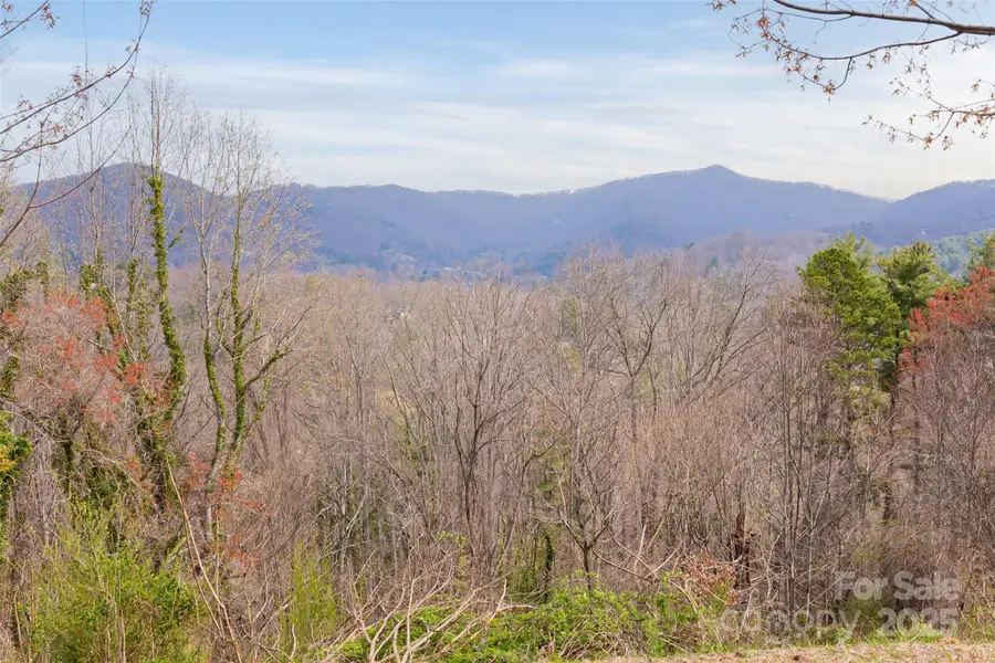 32 Grovepoint Way, Asheville, NC 28804 - Image #2