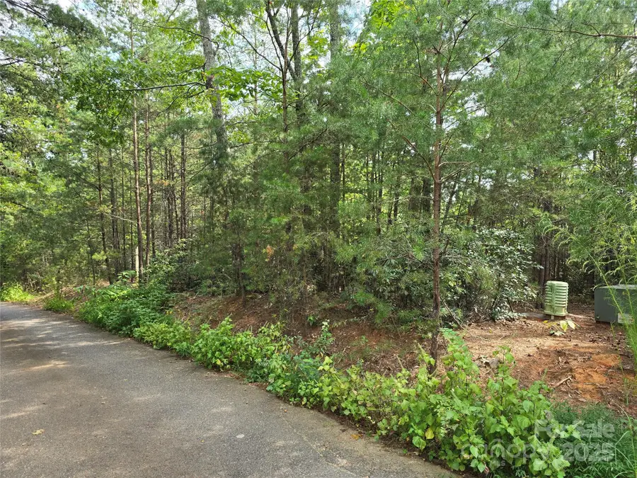 374 Garden Lane, Lake Lure, NC 28746 - Image #2