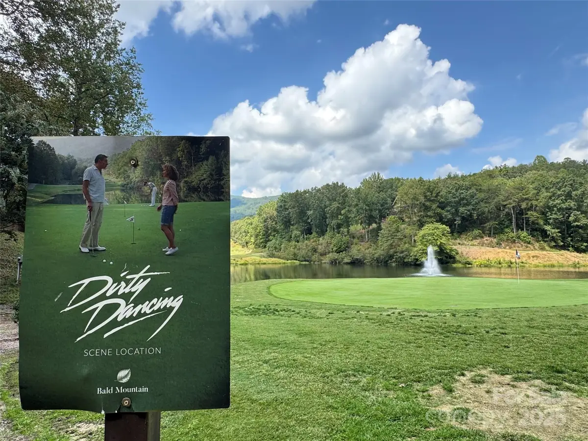 36 Bee Tree Point Court, Lake Lure, NC 28746 - Image #1