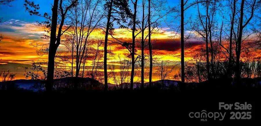 16 Faulkner Avenue, Asheville, NC 28805 - Image #3