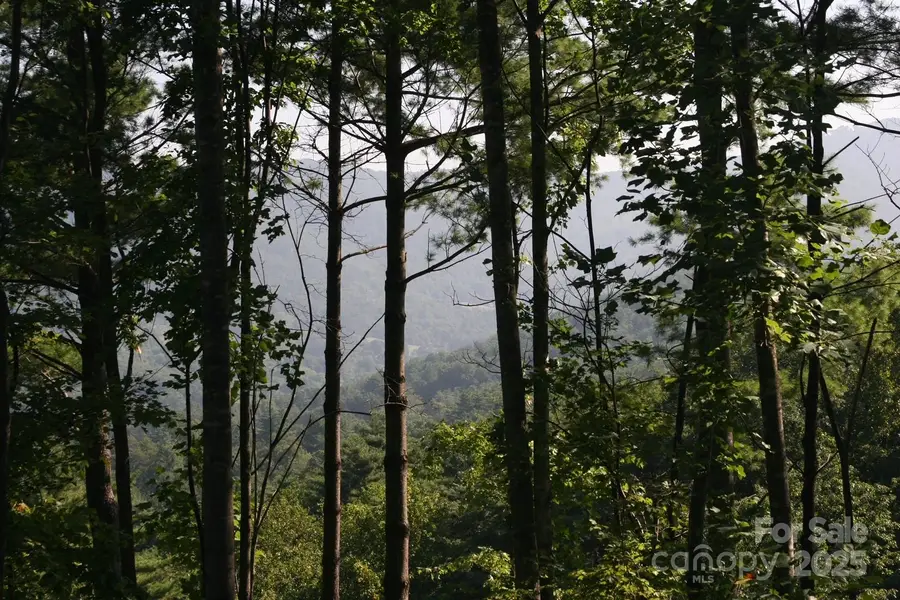 68 Wolfebridge Lane #16, Asheville, NC 28804 - Image #2