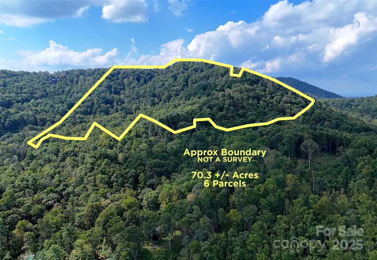 89 White Oak Gap Road, Asheville, NC 28803 - Image #1