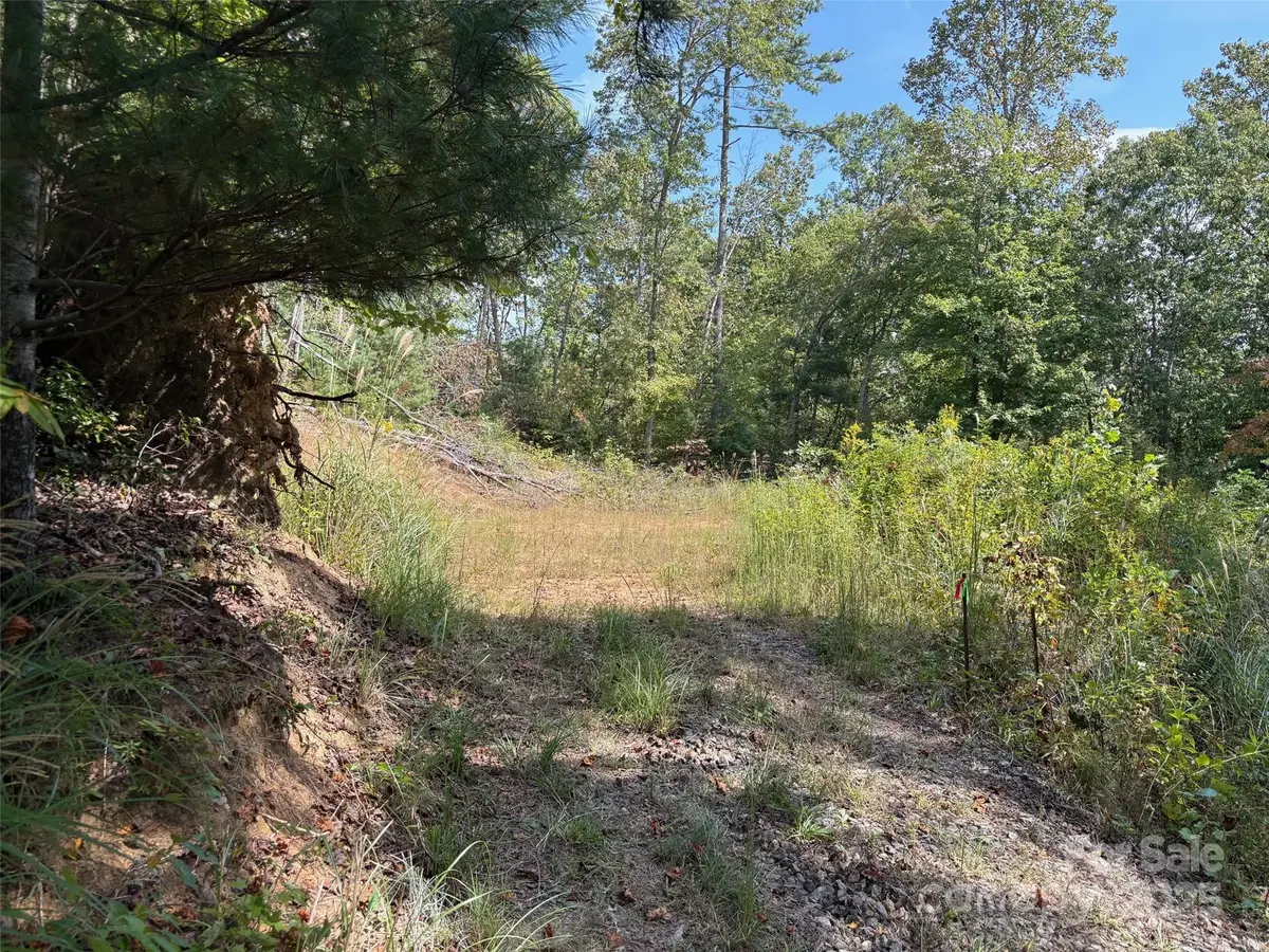 25 W Keesler Street, Black Mountain, NC 28711 - Image #1