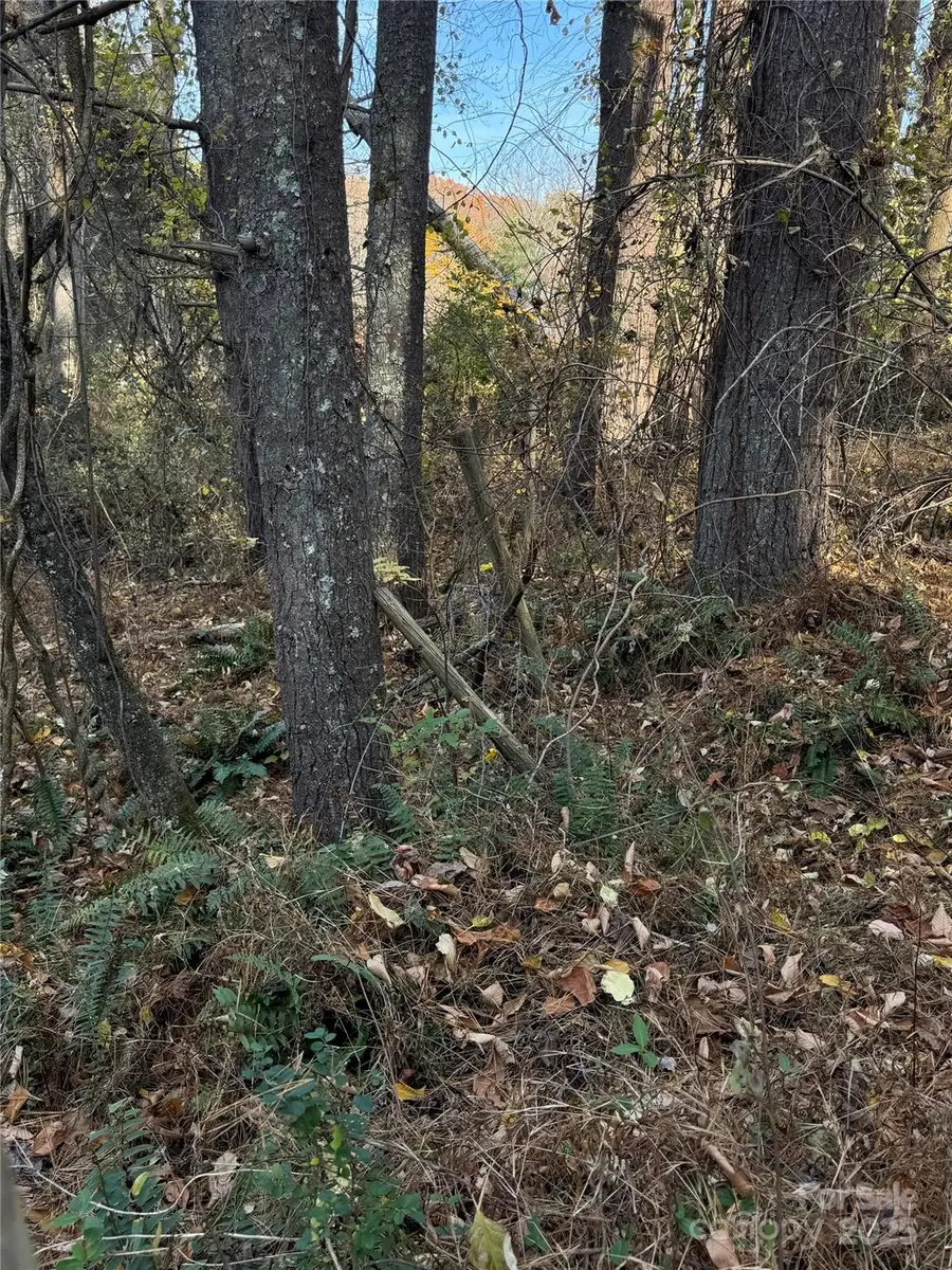 99999 Old Macedonia Road, Alexander, NC 28701 - Image #3