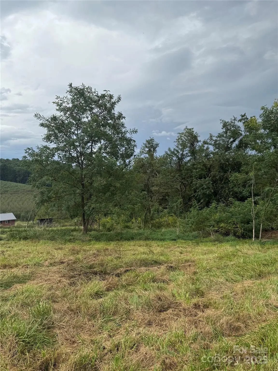 000 Bobs Road, Hendersonville, NC 28792 - Image #1