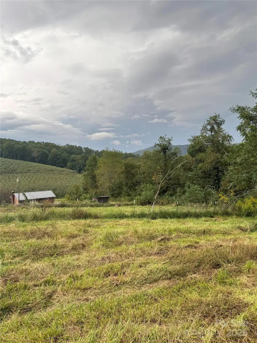 000 Bobs Road, Hendersonville, NC 28792 - Image #2