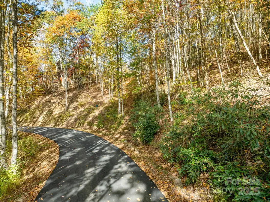 99999 Lytle Cove Road, Swannanoa, NC 28778 - Image #3