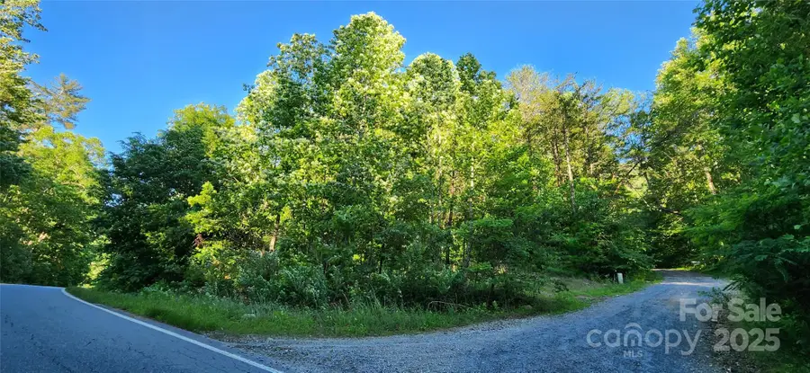 0 Buffalo Creek Road #74, Lake Lure, NC 28746 - Image #2