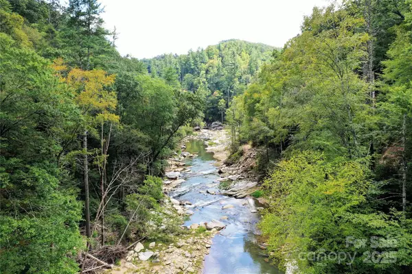 999 Hardison Falls Trail, Bat Cave, NC 28710