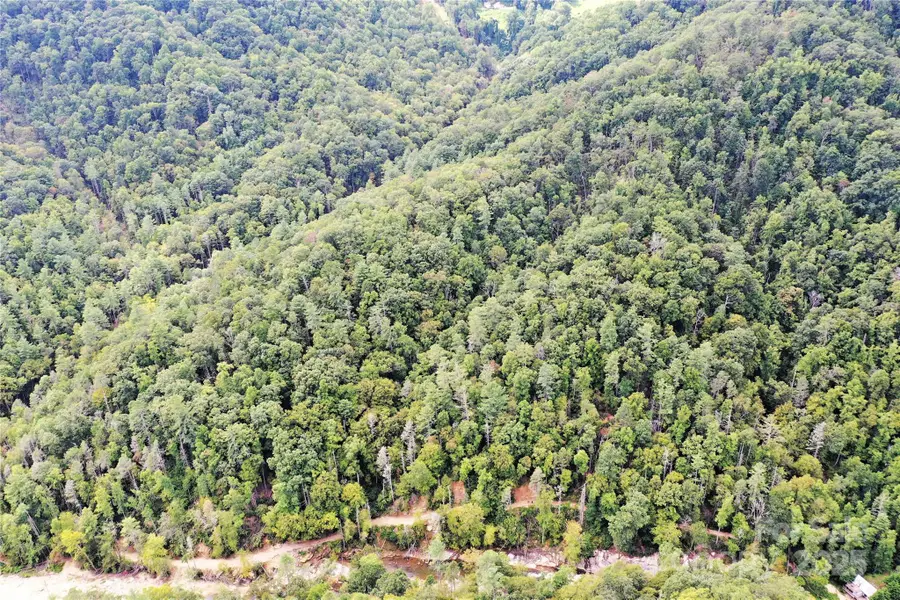 999 Hardison Falls Trail, Edneyville Township, NC 28710 - Image #2