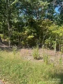 0 Mcgill Road, Smyrna, SC 29743 - #1