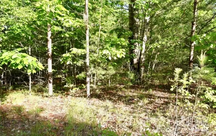 TBD Darrow Drive #LOT 90, Nebo, NC 28761 - Image #2