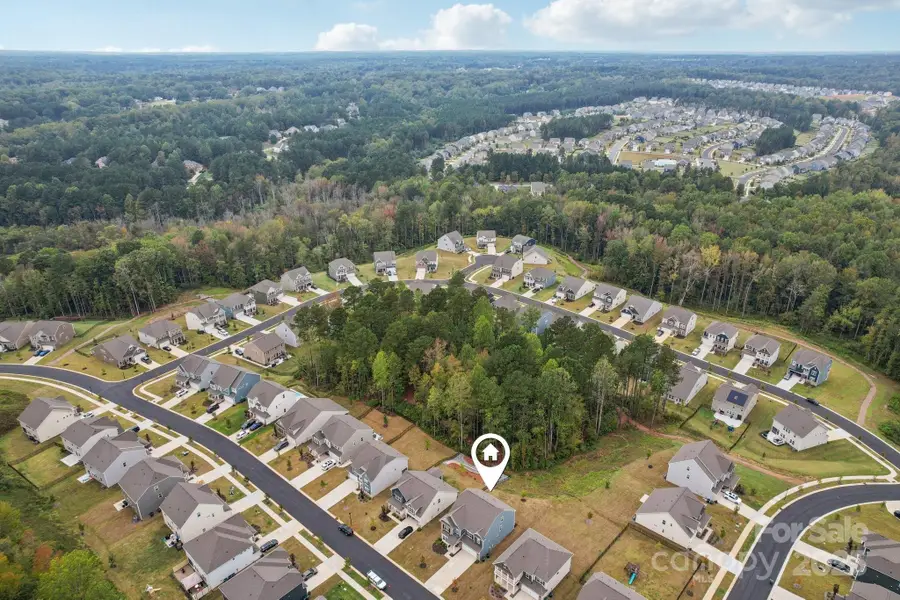 299 Hamptons Cove Road, Troutman, NC 28166 - Image #2