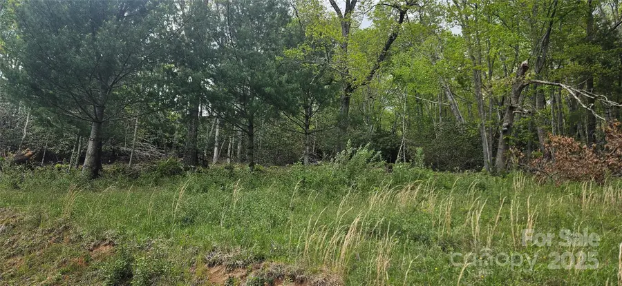 0 Clear Creek Drive, Newland, NC 28657 - Image #2