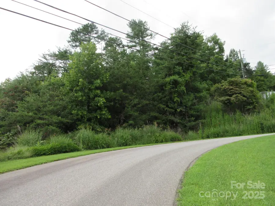 0 Old Burnsville Road, Weaverville, NC 28787 - Image #2