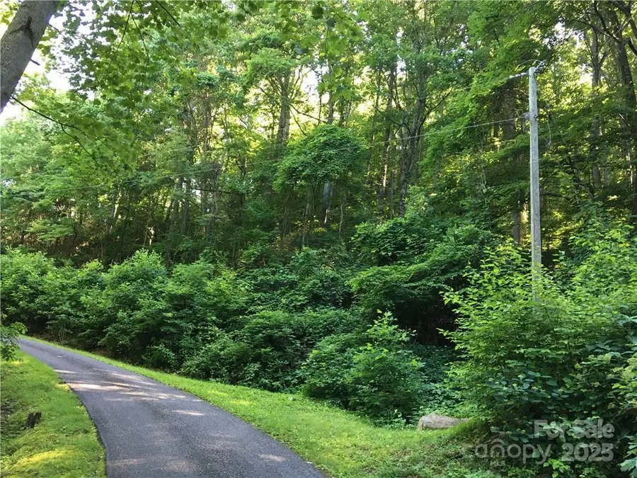 TBD Red Oak Forest Road, Fairview, NC 28730 - Image #2