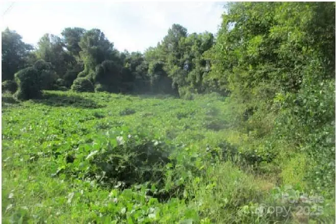 121 Doc Wehunt Road, Cherryville, NC 28021 - Image #1