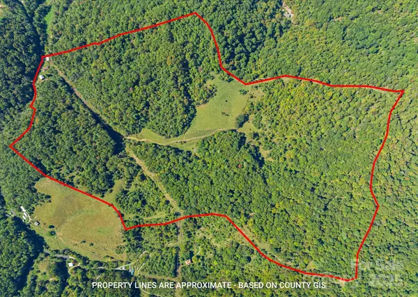 1623 Ammons Branch Road, Marshall, NC 28753