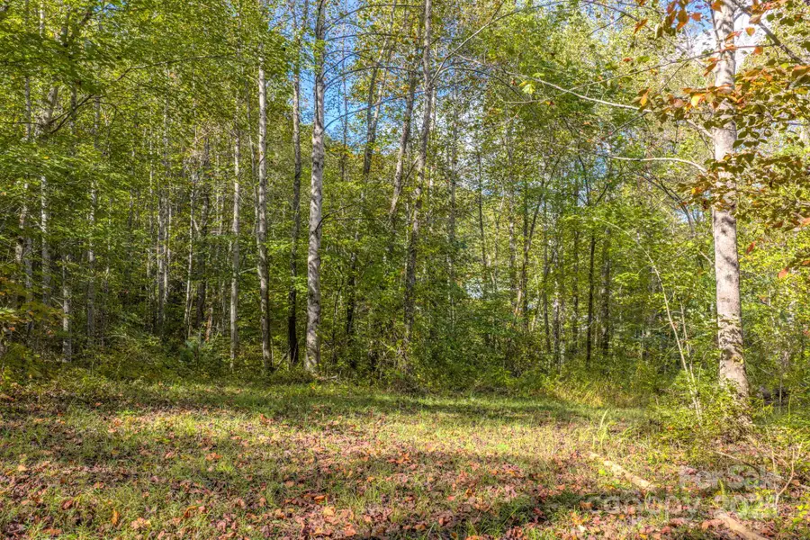 170 Midnight Sun Lane, Old Fort, NC 28762 - Image #2