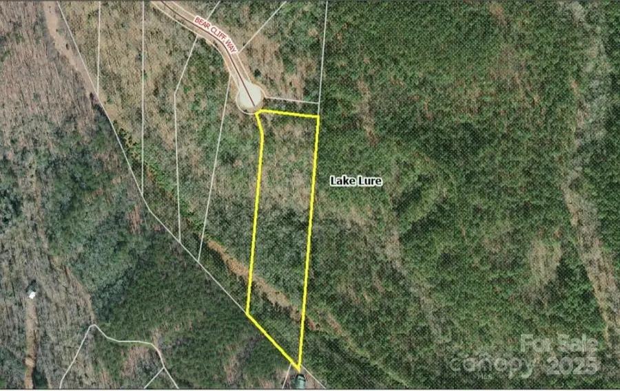 0 Bear Cliff Way #60, Lake Lure, NC 28746 - Image #3