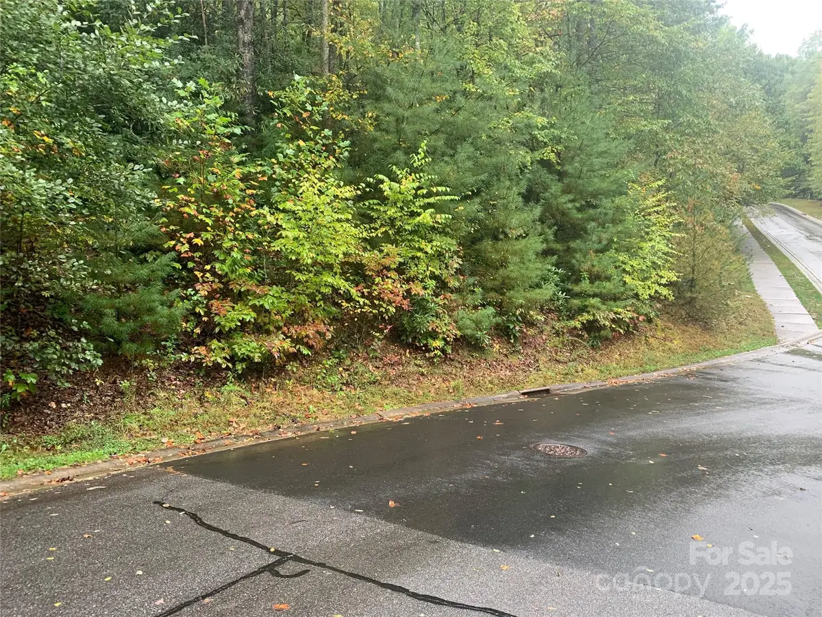 208 Settings Boulevard #248, Black Mountain, NC 28711 - Image #1