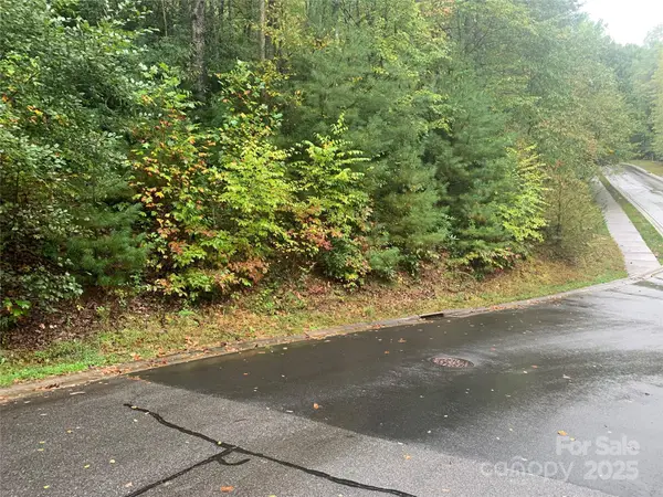 208 Settings Boulevard #248, Black Mountain, NC 28711