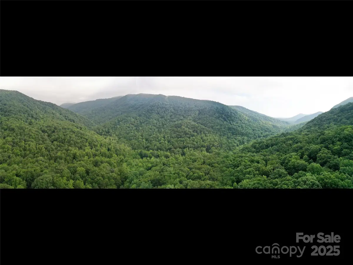 00 Riversound Lane, Saluda, NC 28773 - #1