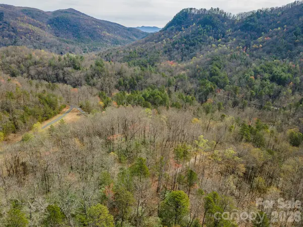 99999 Trillium Lane #7, Lake Lure, NC 28746