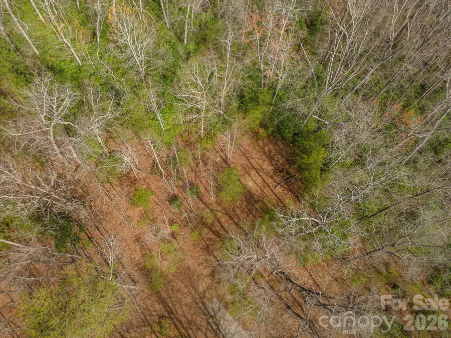 99999 Trillium Lane #7, Lake Lure, NC 28746 - #2