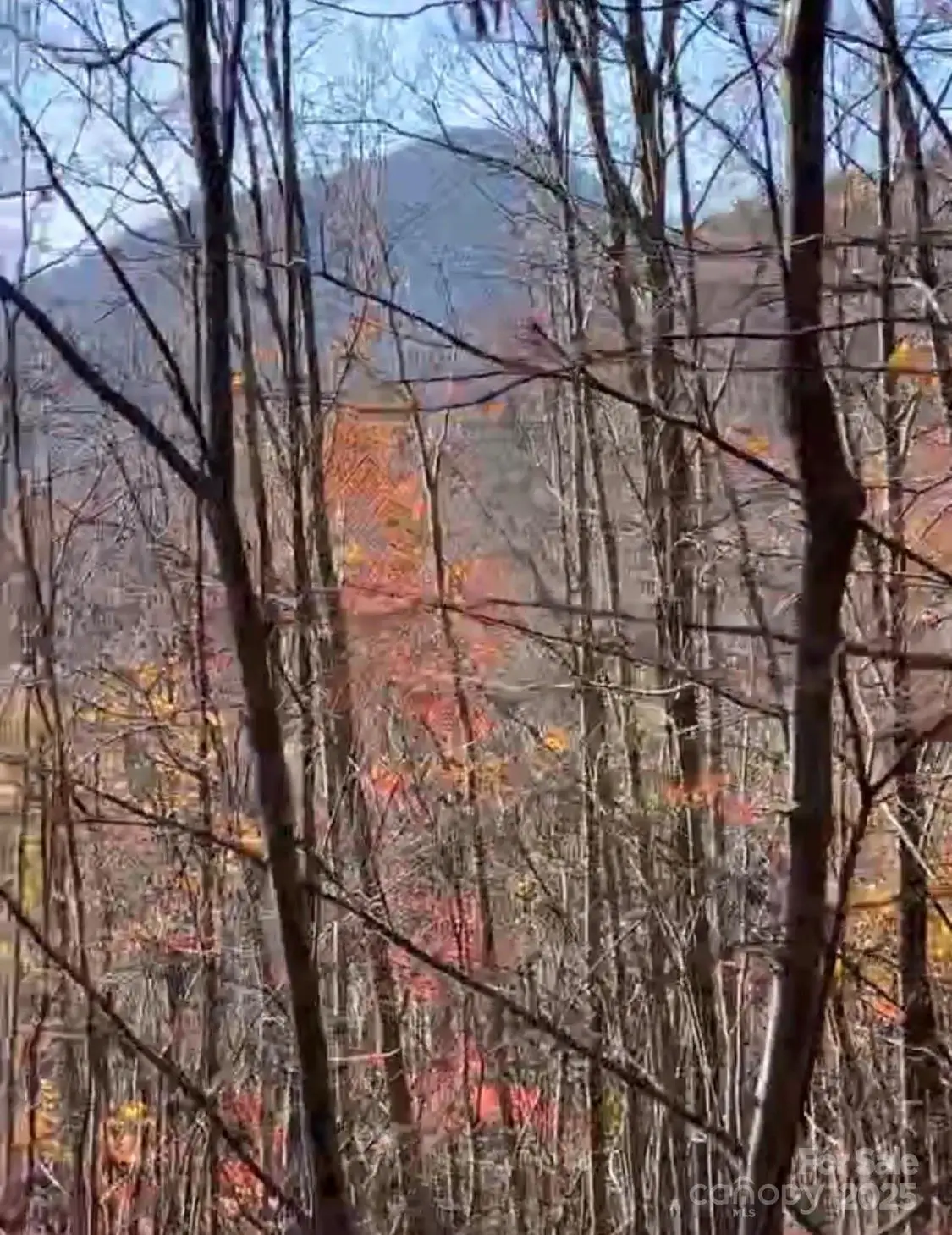 00 Camp Hill Road, Mill Spring, NC 28756 - Image #1