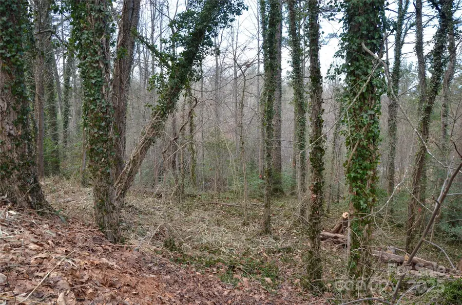 99999 Horizon Hill Road, Asheville, NC 28804 - Image #3