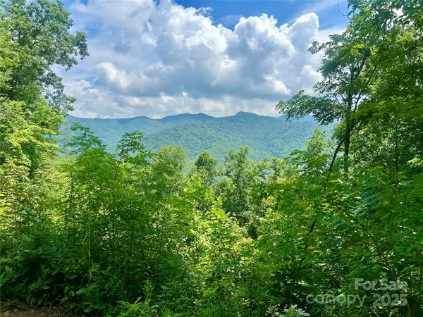 0 Hickory Rock Road #11, Bryson City, NC 28713