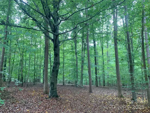 0 Fawn Lane, Waxhaw, NC 28173