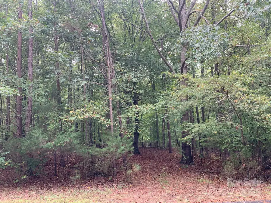 0 Fawn Lane, Waxhaw, NC 28173 - Image #2