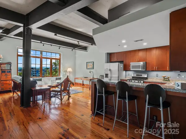 100 Coxe Avenue #306, Asheville, NC 28801