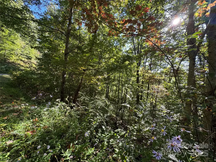 400 High Hickory Trail #25, Swannanoa, NC 28778 - Image #3