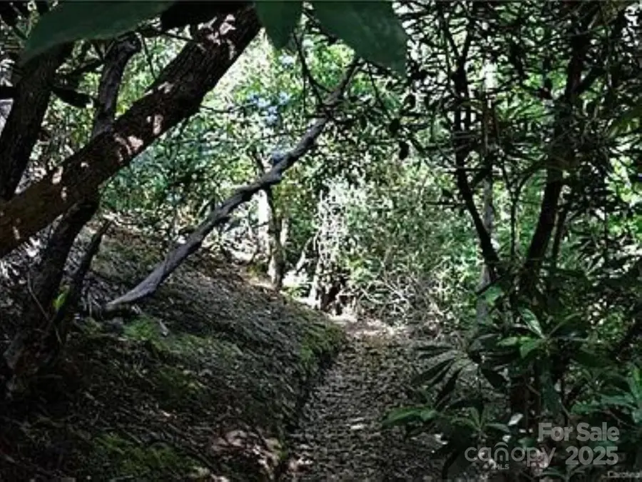 595 Quail Ridge Boulevard, Lake Lure, NC 28746 - Image #3