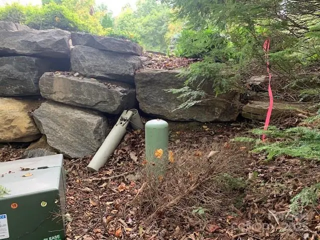 105 Crossvine Trail #15, Laurel Park, NC 28739 - Image #1