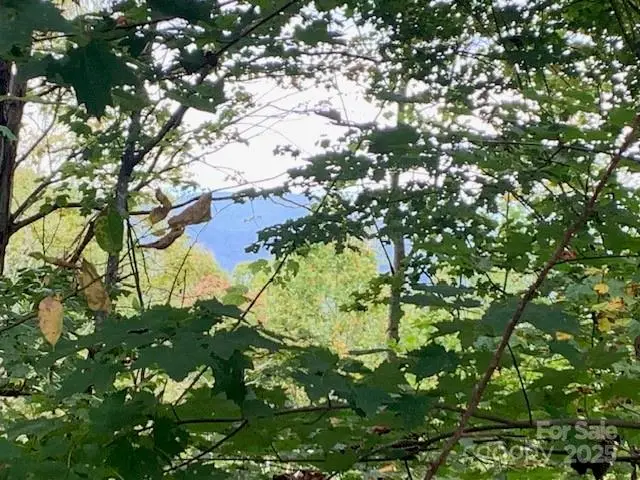 105 Crossvine Trail #15, Laurel Park, NC 28739 - Image #2