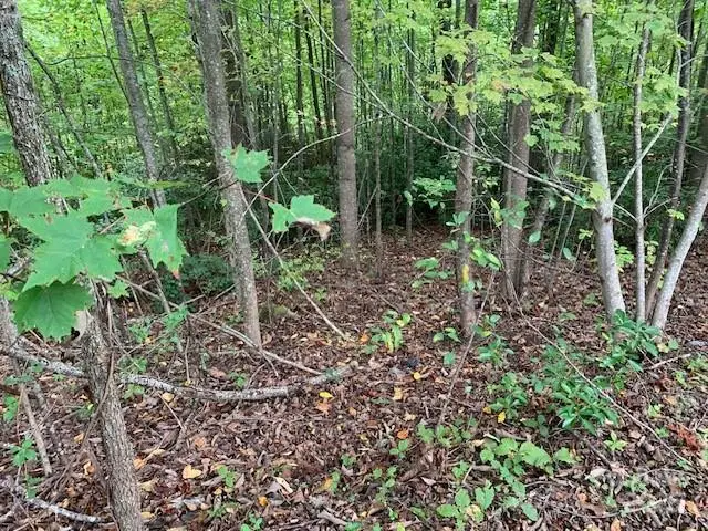 105 Crossvine Trail #15, Laurel Park, NC 28739 - Image #3