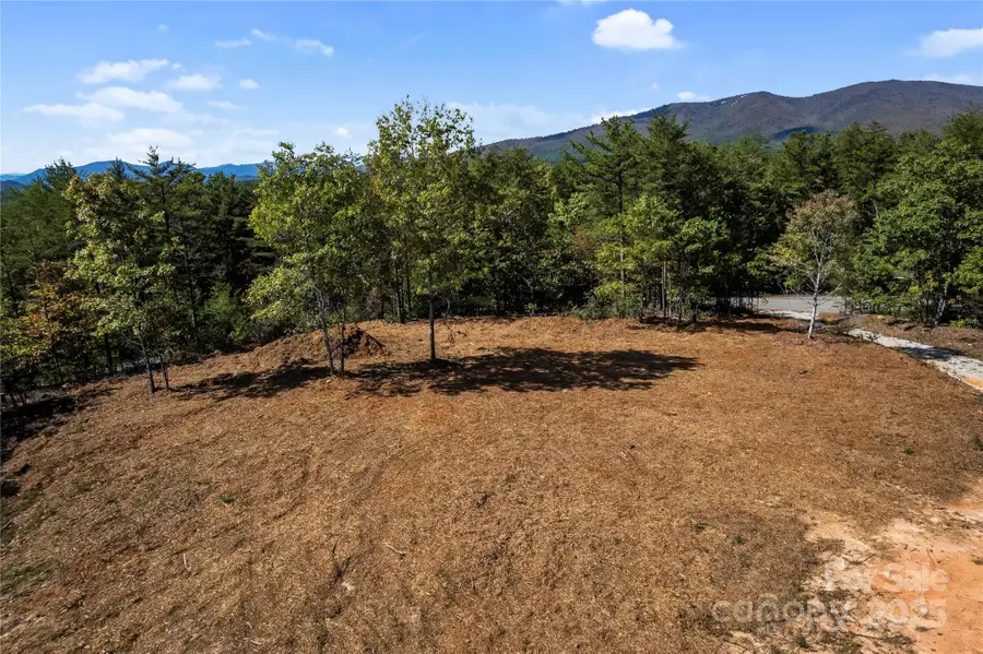 9028 Shortoff View Terrace, Nebo, NC 28761 - Image #2