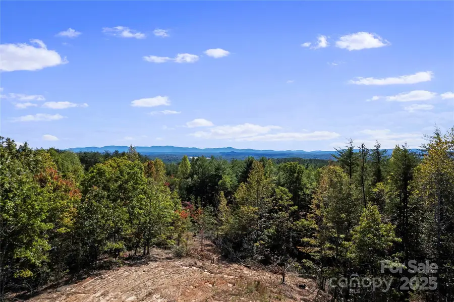 9028 Shortoff View Terrace, Nebo, NC 28761 - Image #3