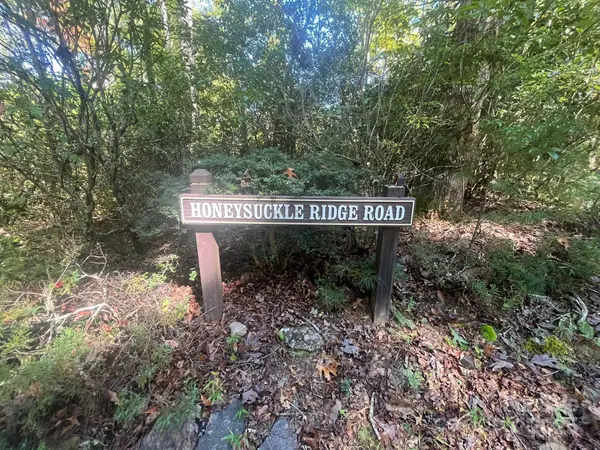 TBD Honeysuckle Ridge Road #Lot 14, Pisgah Forest, NC 28768
