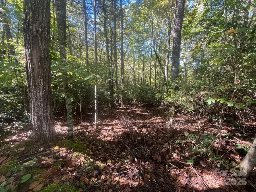 TBD Honeysuckle Ridge Road #Lot 14, Pisgah Forest, NC 28768 - Image #3