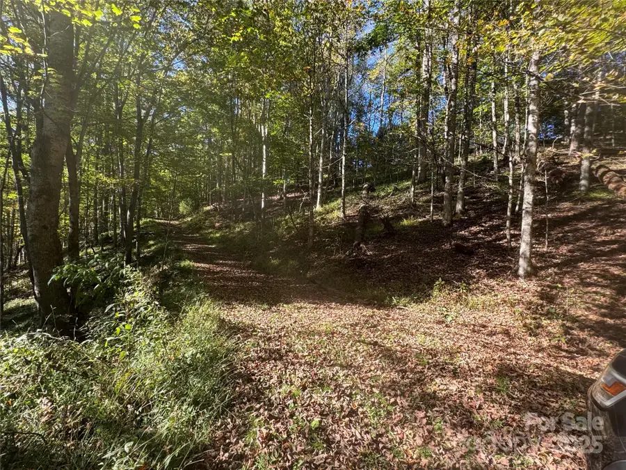 9 Susanna Cove, Mars Hill, NC 28754 - Image #2