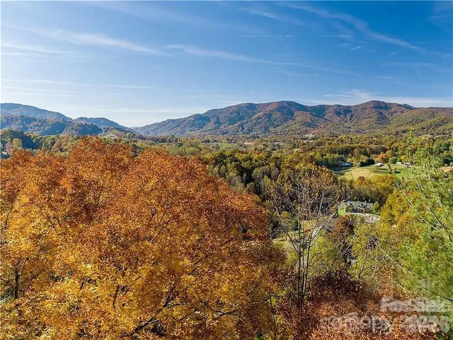 75 S Lindon Cove Road, Candler, NC 28715 - #3