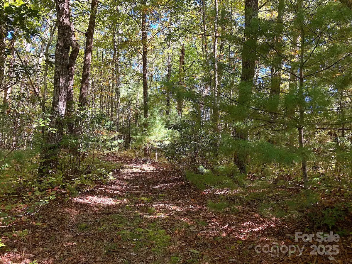 000 Middleton Court, Brevard, NC 28712 - Image #1