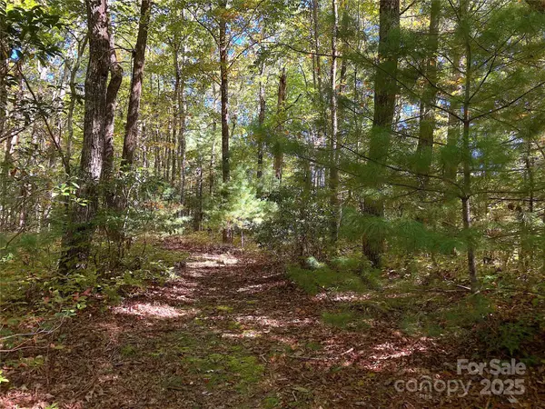 000 Middleton Court, Brevard, NC 28712