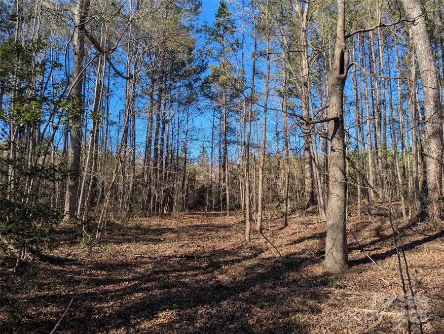 131 Stormy Court #21, New London, NC 28127 - Image #2